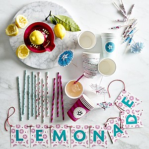 American Girl™ by Williams Sonoma Lemonade Stand Kit - 75% off - $9.99 Free Shipping