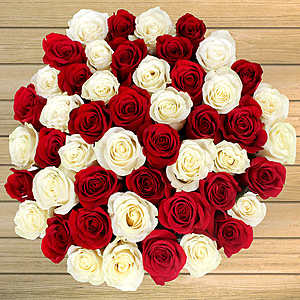 Costco Members: 50-Count Valentine's Day Roses (various colors) $50 + Free S/H