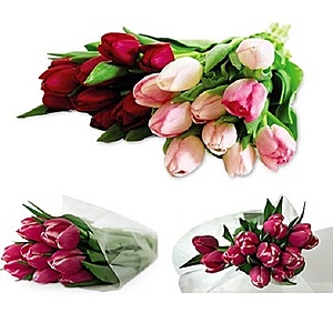 10-Stem Tulip Bouquet for $4.99, Flowers $4.49+ Sale @ Aldi (4-5-23 to 4-11-23)