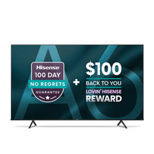 65" Hisense 4K UHD 65A6H Smart TV for $220 net after $100 gift card and $100 rebate IN STORE