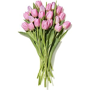 Whole Foods Market: 20-Stem Assorted Tulip Bunch for Prime Members $10 Valid In-Store Only