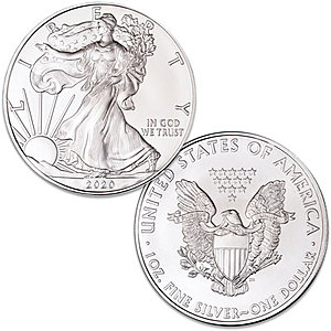 Littleton Coin 2020 Silver American Eagle Dollar Coin $20 (currently under spot price)
