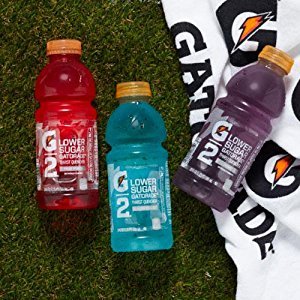 Gatorade G2 Sports Drink, Mixed Berry, Low Calorie, 12-Ounce Bottles (Pack of 24) for $10.42 w/ S&S