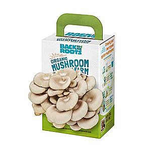 Back to the Roots Organic Mini Mushroom Grow Kit - $7.97 - Amazon