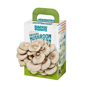$7.79: Back to the Roots Organic Mini Oyster Mushroom Grow Kit