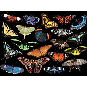 $6.99 (Prime Members): Buffalo Games - Winged Jewels - 1500 Piece Jigsaw Puzzle