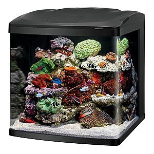 Coralife LED Biocube 32 gallon - $272 plus tax - Amazon/Chewy