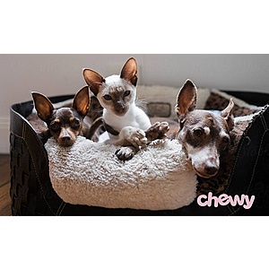 Groupon: $15 Off Your First Chewy Purchase of $49+ Plus Free Shipping