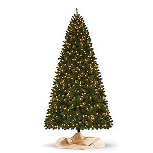 SYW Members: Purchase Select seasonal christmas tree get $50 to $75 back in points