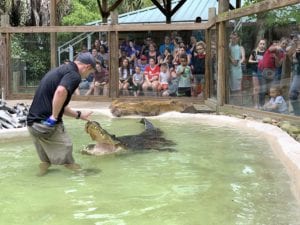 [Orlando FL] Wild Florida Gator Park Celebrates Gator Week - Free Admission With Your Spare Change May 24-29, 2021