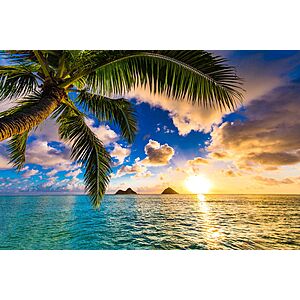 Ontario CA to Kahului Maui Hawaii or Vice Versa $206 RT Airfares on United Airlines BE (Travel August - November 2023)