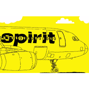 Spirit Airlines Flight Bookings - 30% off