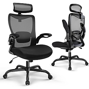 ErGear Ergonomic Office Chair with 2'' Adjustable Lumbar Support & Headrest and Flip-Up Armrests $73.99 + Free Shipping