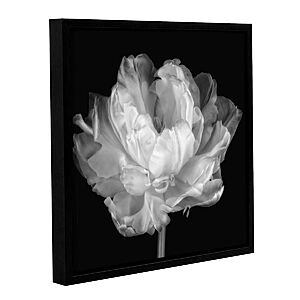 24"x24" ArtWall Tulipa Black & White Framed Wall Art $22.09, More + Free Shipping on $49+