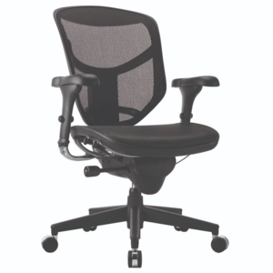WorkPro® Quantum 9000 Mesh Multifunction Ergonomic Mid-Back Chair, Black $209+tax & Free shipping