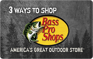 Buy a $100 Bass Pro Shop Gift Card, get a $20 AMC Gift Card Free. Promo Code BASS1119