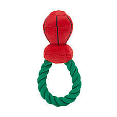 Merry & Bright Dog & Cat Toys: Holiday Ring w/ Rope Dog Toy $1,  Holiday Cassette w/ Rope Dog Toy $1 & More + Free Store Pickup at Petsmart