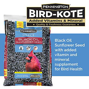 40-lb Pennington Select Black Oil Sunflower Seed Dry Wild Bird Feed $20 & More
