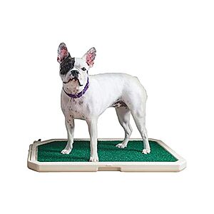Woot Appsclusive: 30" x 19" Piddle Place Indoor/ Outdoor Pet Potty System w/ Lid $15 + Free Shipping w/ Prime