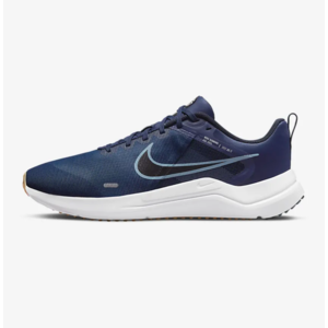 Nike Downshifter 12 ( Various Colors) for $31.98 Plus Free Shipping.