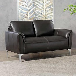 Jordane Leather Sofa $699 @Costco