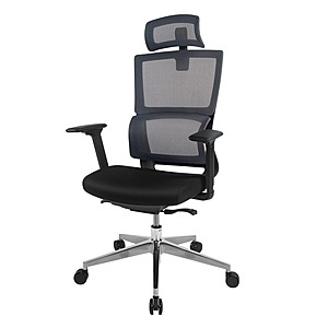 FlexiSpot BS2 Ergonomic Office Chair $90 + Free Shipping