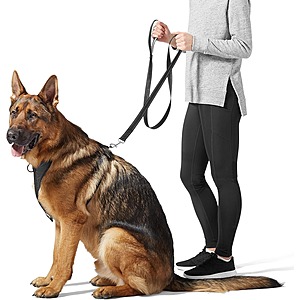 5' Amazon Basics Dog Leash with Padded Handle & Reflective Stitching for $2.99, 2 for $5.98 or 3 for $8.97 + Free Shipping $3