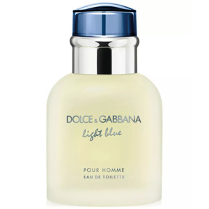 Dolce & Gabbana Men's or Women's Light Blue Eau de Toilette Sprays $25 + Free Shipping