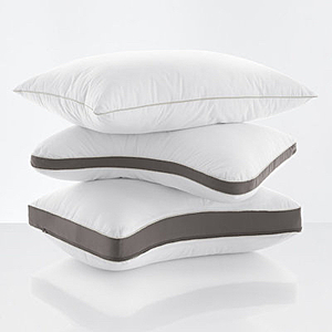 Sleep Number PlushComfort™ Pillow - Labor Day BOGO Free (actually less than BOGO) - $37.49 to $67.50