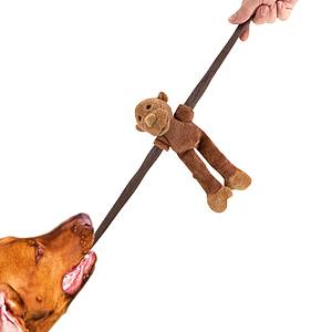 Dog Toys from $2