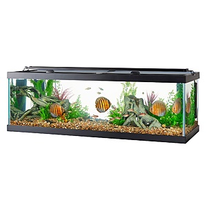 Petco Extra 25% Off Sitewide w/ Klarna Checkout: 60-Gal Aqueon Aquarium Tank $75, 220-GPH Marineland Canister Filter​ $104.93 + Free Shipping on $35+ or Free Store Pickup at Petco
