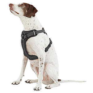 Top Paw Ultra-Reflective Dog Harness (Various) $10 + Free Store Pickup