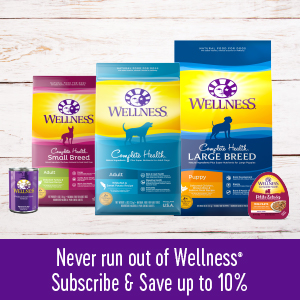 Amazon - Select wellness brand pet foods - save 25% on your first subscribe and save - ymmv