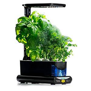 AeroGarden Sprout (3 spots) with 3 pack of plant choices $69.95