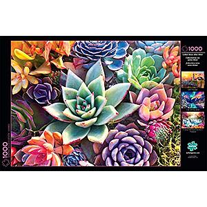 1000-Piece Buffalo Games Simple Succulent Jigsaw Puzzle $7.49 + Free Shipping w/ Prime or on orders $25+