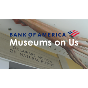 Bank of America & Merrill Lynch Card Holders - Museums on Us Free Entry from 12/26 through 12/31
