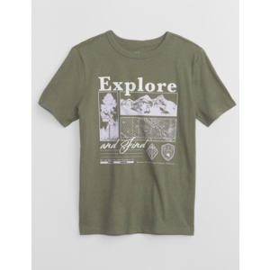 Gap Factory: Boy's 100% Cotton Graphic T-Shirt (Various) $3.99 + Free Shipping