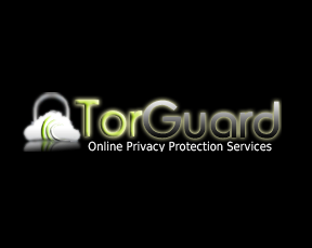TorGuard VPN:  $30/yr or 2-Yrs + Mini Router + 2-Mos. of Residential IP VPN  $50 & More