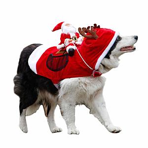 Royal Wise Running Santa Christmas Dog Costume (Various Sizes) $9 + Free Shipping