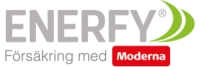 Enerfy SE_logo