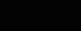Lovimals (US)_logo