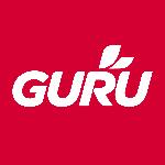 Guru Energy_logo